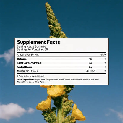 BetterLungs® Mullein Gummies