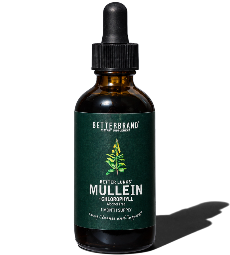 Mullein + Chlorophyll