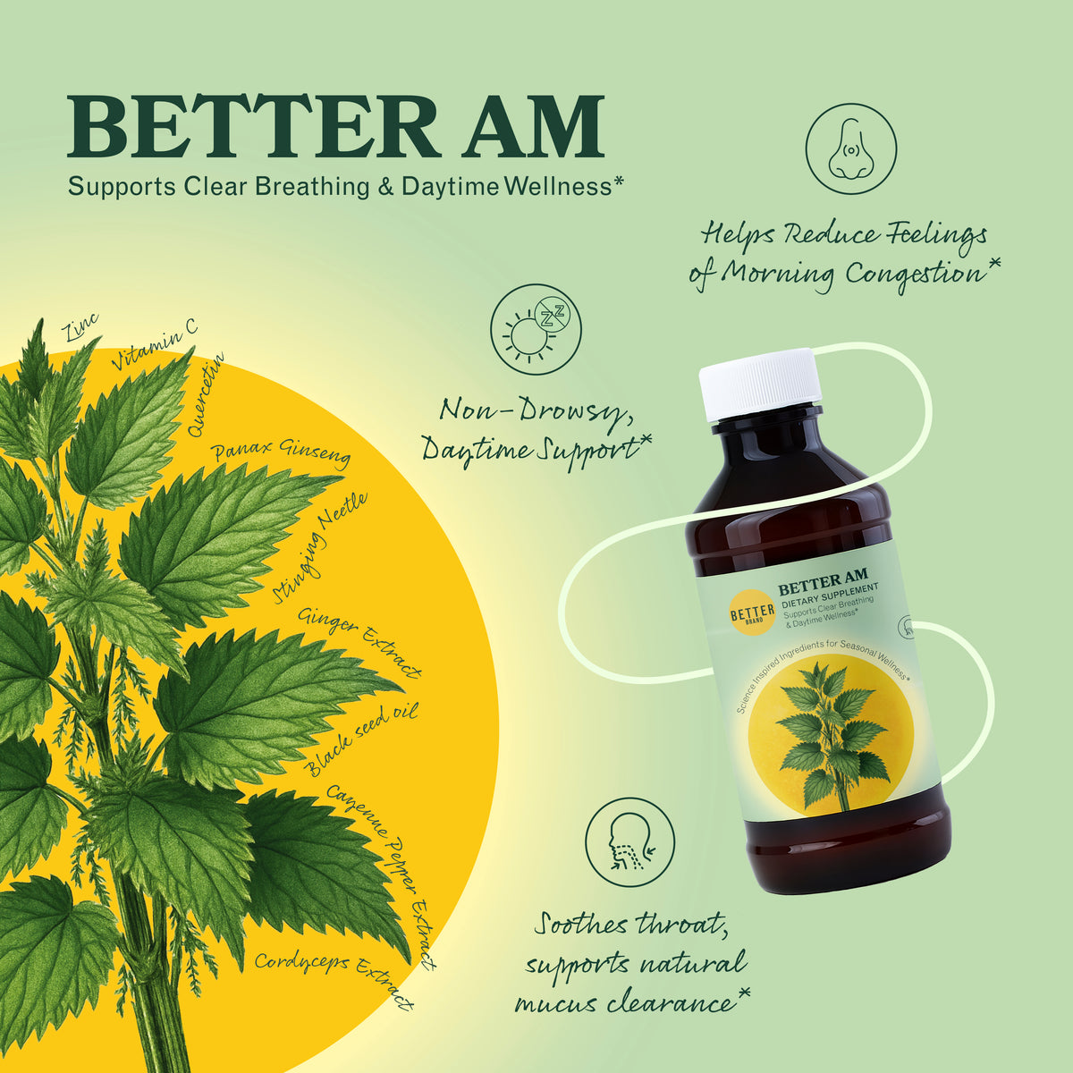 Better AM dietary supplement bottle tilted beside large stinging nettle illustration with ingredient names around a yellow sun