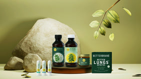 Seasonal Wellness Box