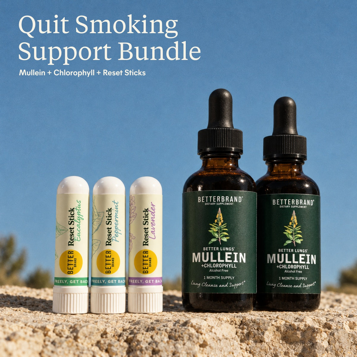 Quit Smoking Support Bundle