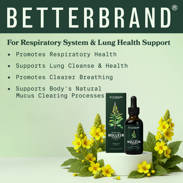 BetterLungs Mullein + Chlorophyll bottle and box with yellow mullein flowers, promoting respiratory health