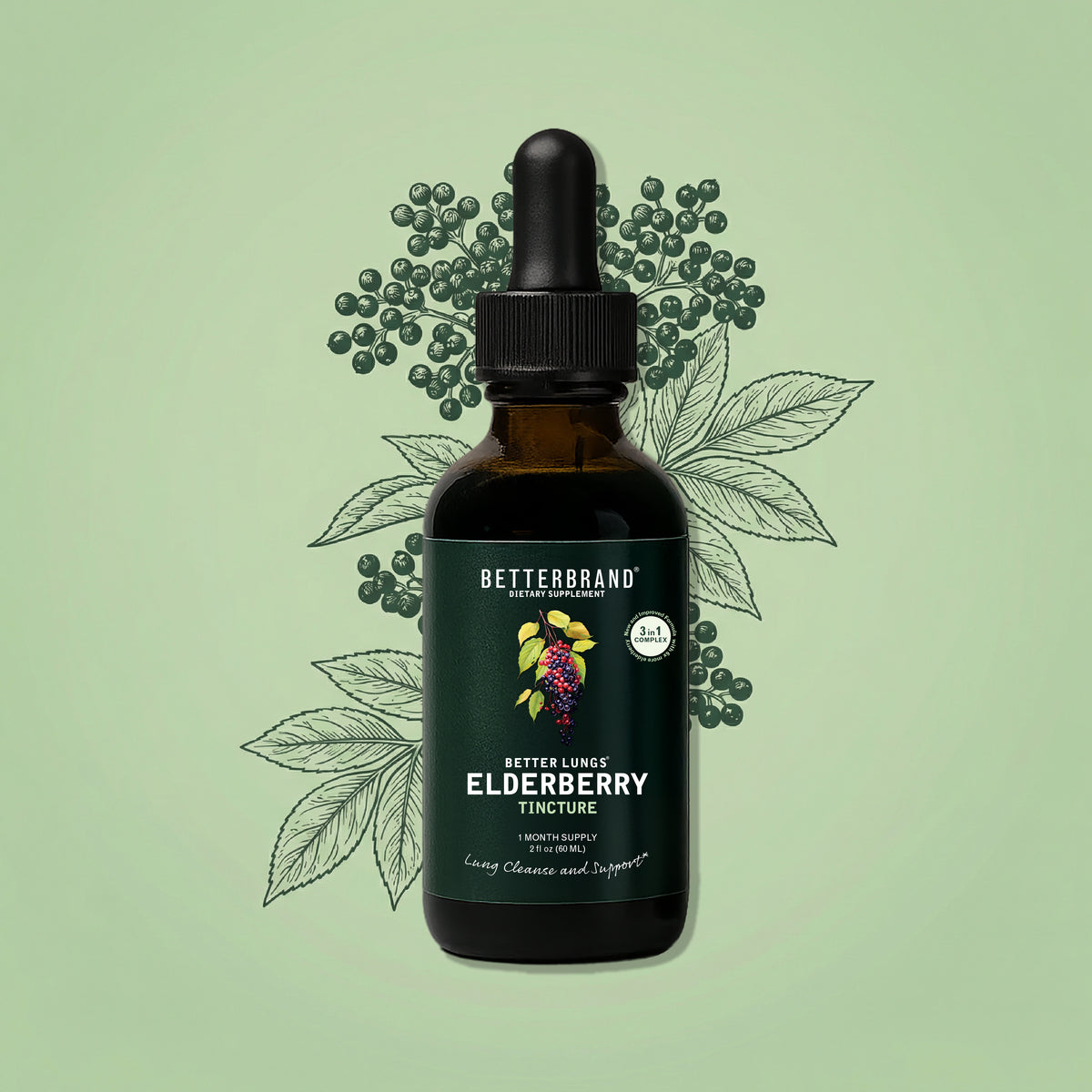 Front view of BetterLungs Elderberry Tincture dropper bottle with green label and elderberry illustration on pale background