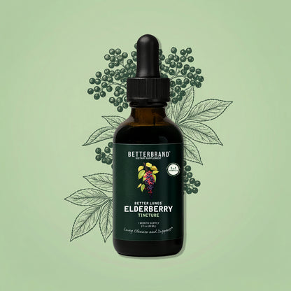 Front view of BetterLungs Elderberry Tincture dropper bottle with green label and elderberry illustration on pale background