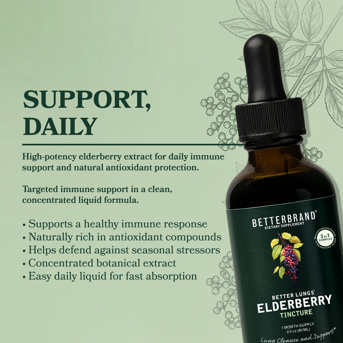 Front view of BetterLungs Elderberry Tincture bottle with dropper, showing elderberry label art and 'Support, Daily' headline on light green background