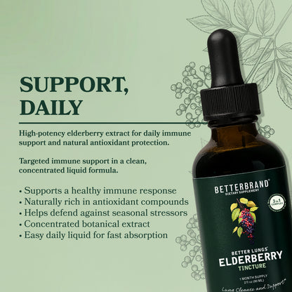 Front view of BetterLungs Elderberry Tincture bottle with dropper, showing elderberry label art and 'Support, Daily' headline on light green background