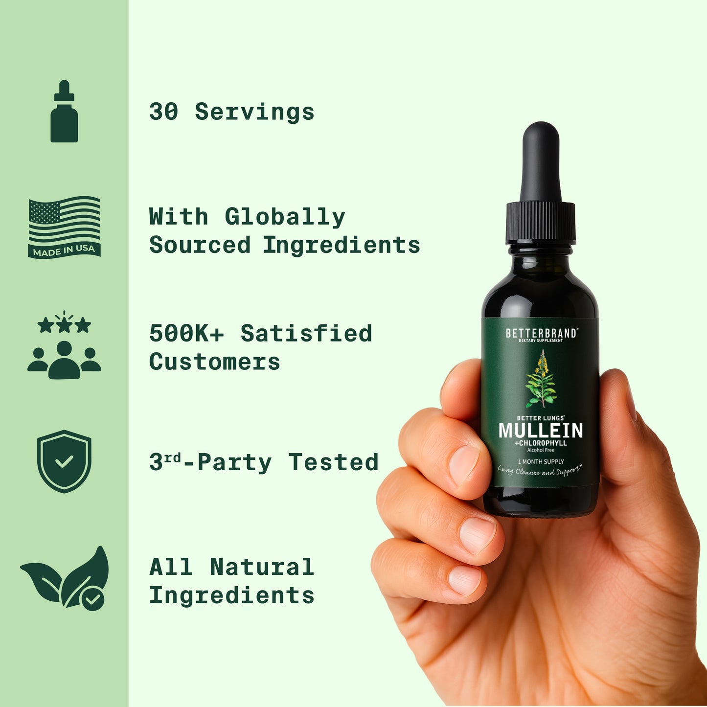 Mullein + Chlorophyll Tincture 3-Pack