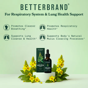 Mullein + Chlorophyll Tincture 3-Pack