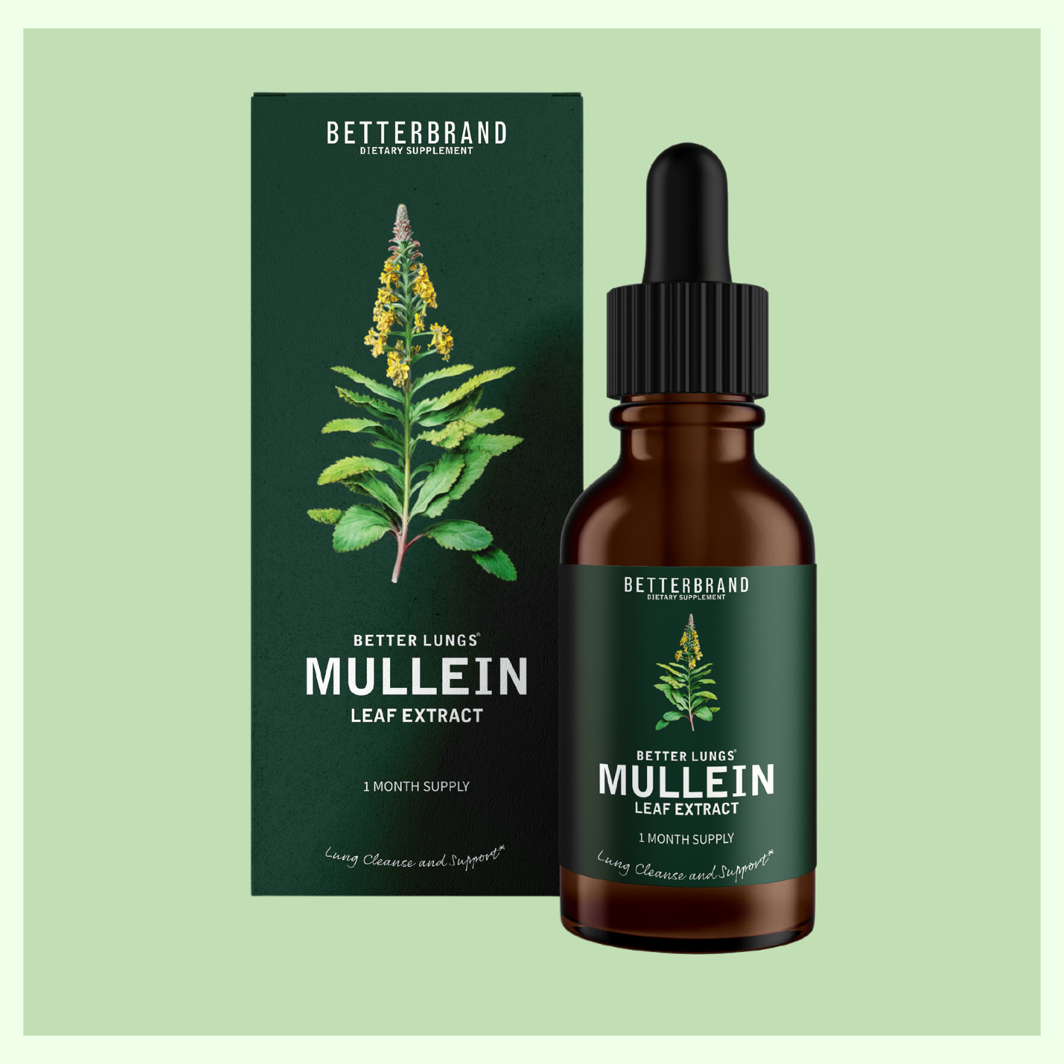 BetterLungs® Mullein Leaf Extract