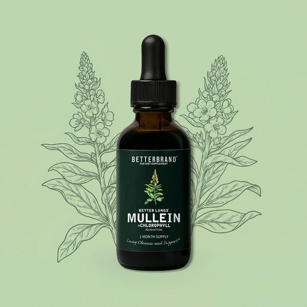 best mullein vape BetterLungs® Mullein Tincture - Mullein Leaf Chlorophyll | Breath Support