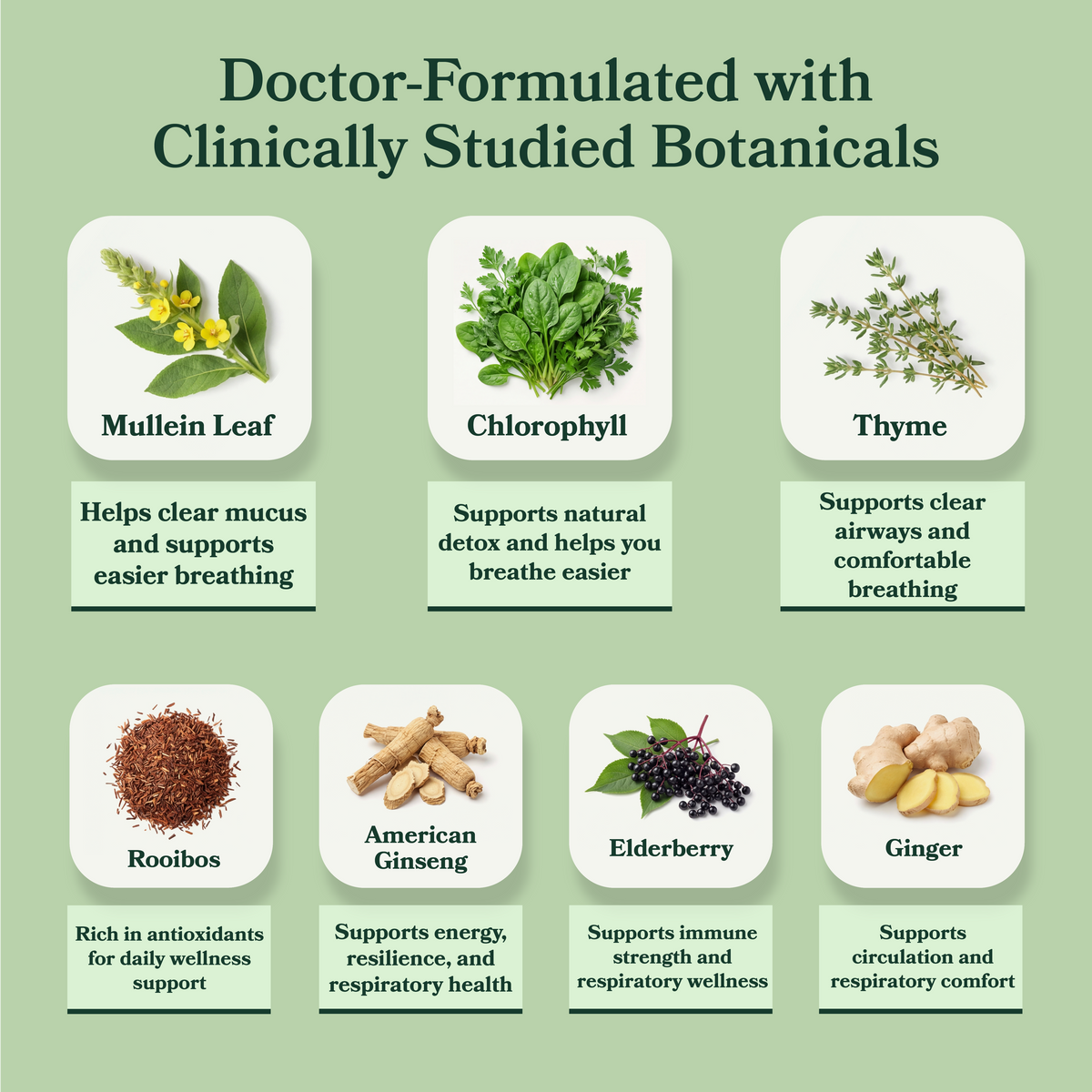 BetterLungs Tea & Tincture
