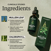 BetterLungs® Mullein + Chlorophyll