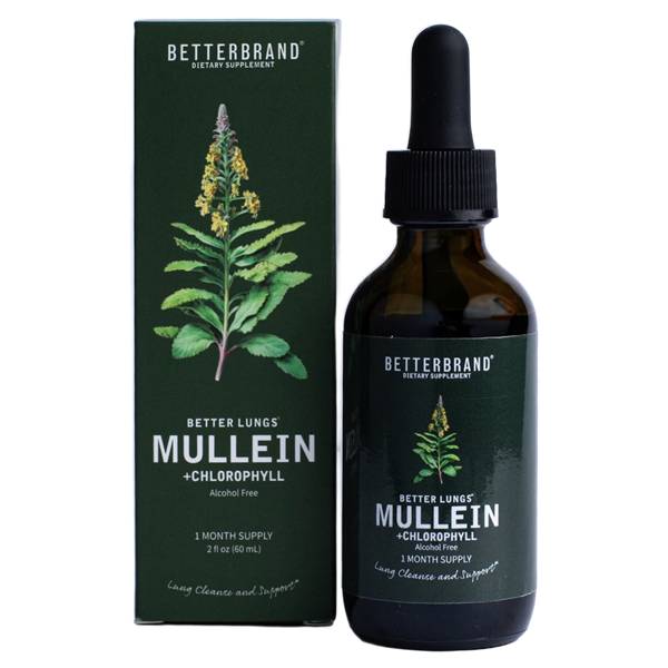 Mullein + Chlorophyll