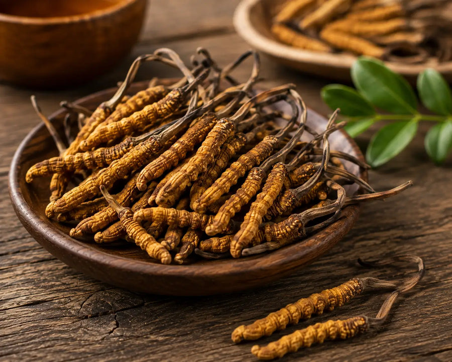 Cordyceps