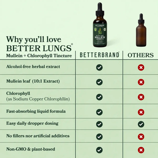 BetterLungs® Mullein + Chlorophyll Tincture (Mint Flavor)
