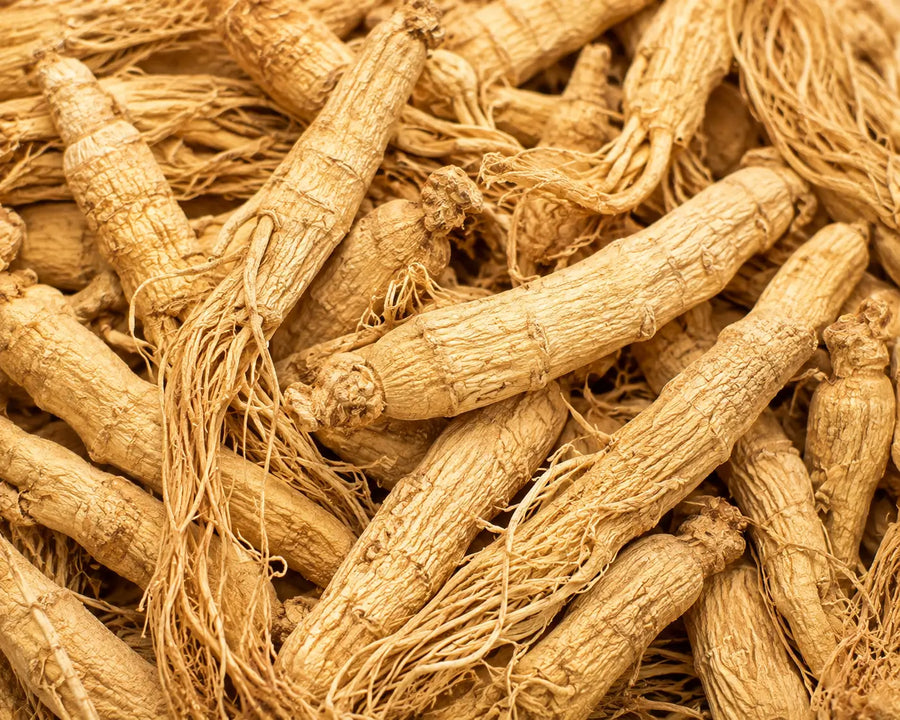 American Ginseng