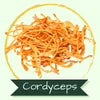 Cluster of orange Cordyceps mushrooms with label 'Cordyceps'