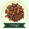Cluster of brown chaga mushrooms with the word 'Chaga' below in a green banner