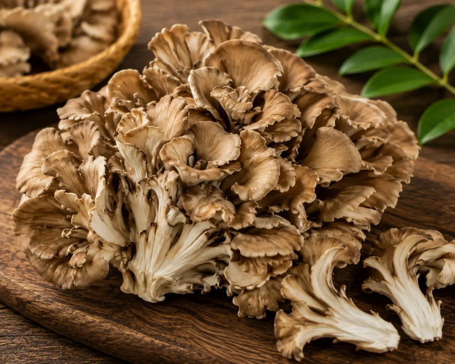 Maitake