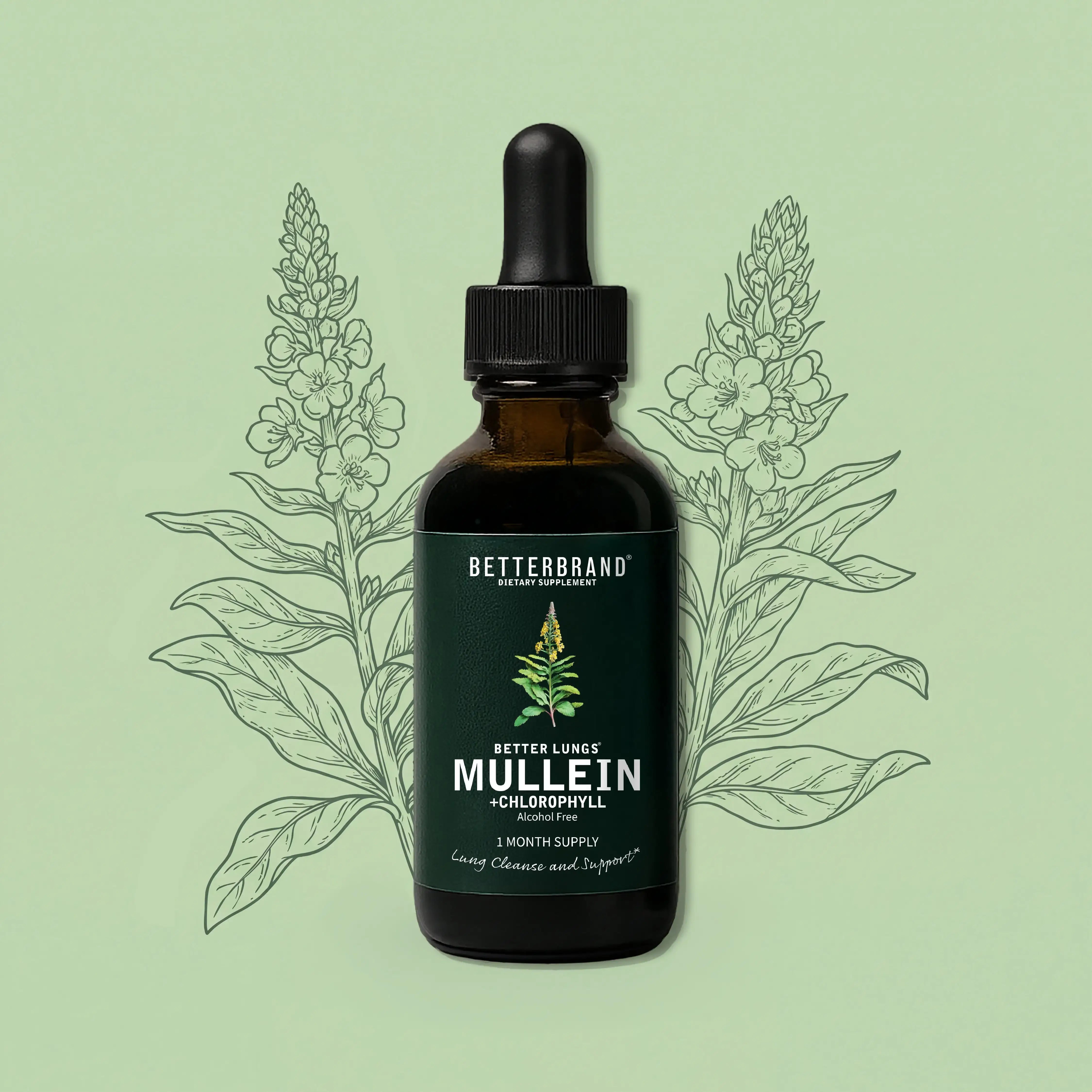 BetterLungs Mullein + Chlorophyll tincture