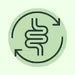 Icon of a digestive system with circular arrows indicating digestion or gut health