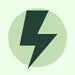 Black lightning bolt icon inside a light green circle