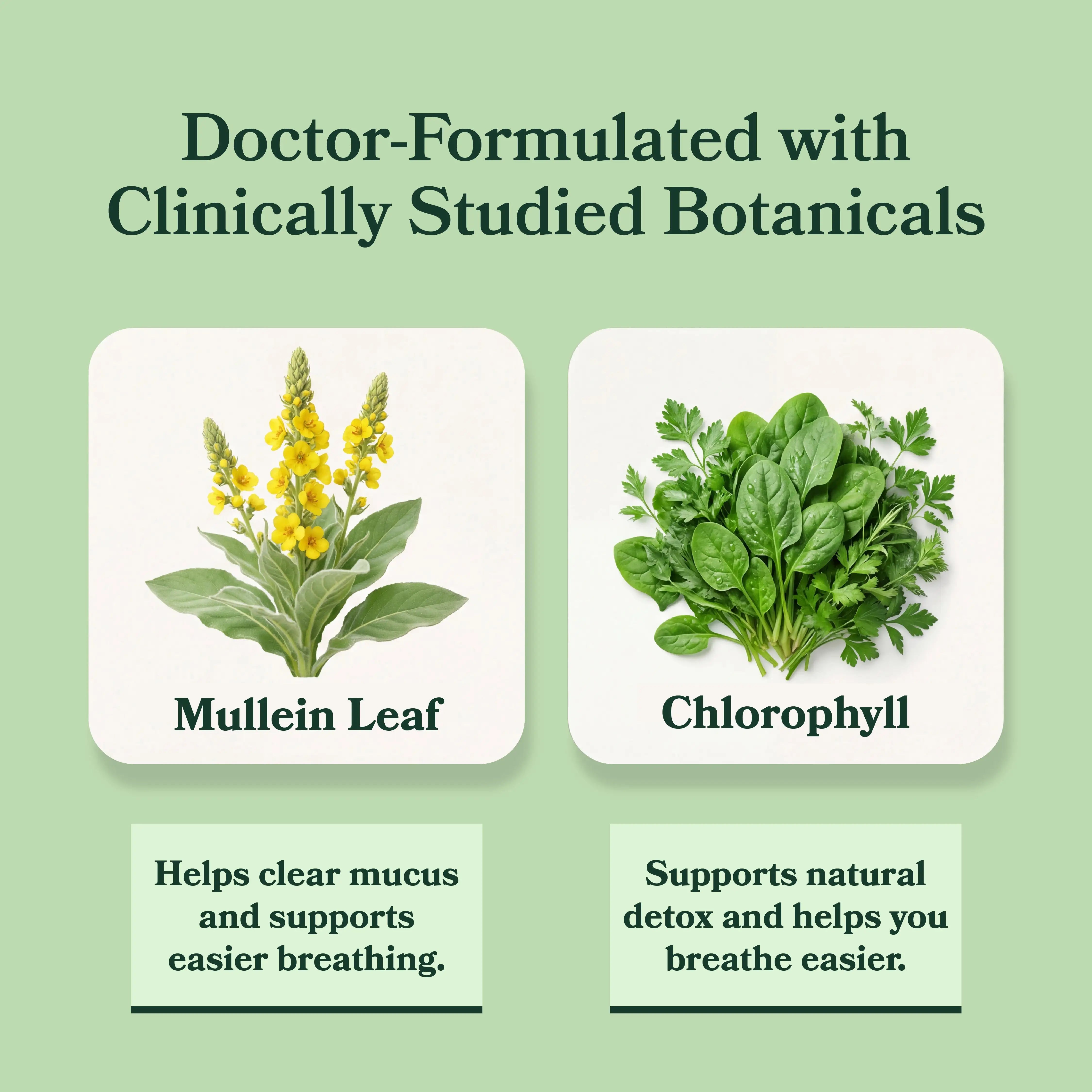 Woman holding BetterLungs Mullein + Chlorophyll bottle in golden-hour forest