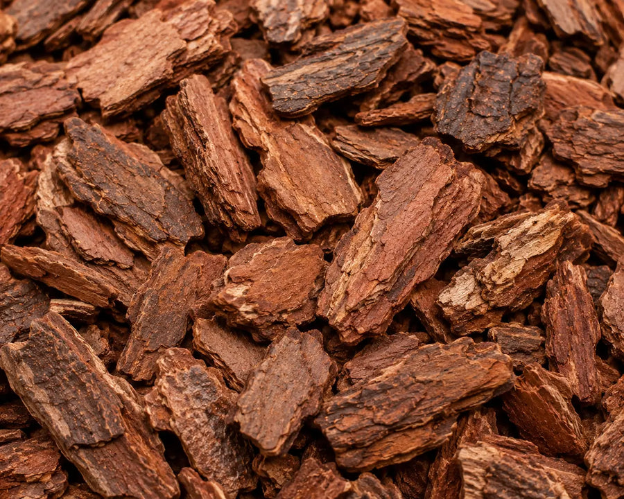 Maritime Pine Bark