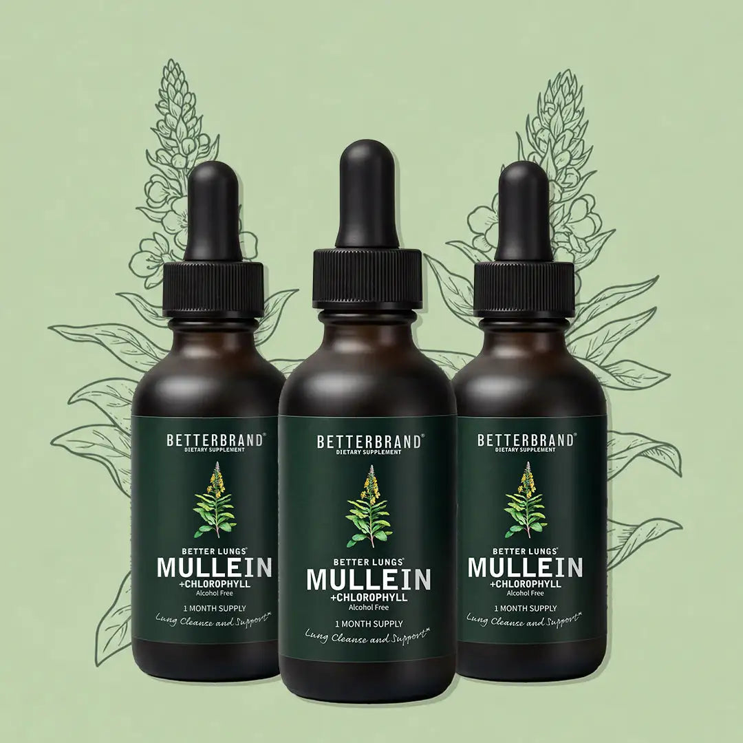 BetterLungs Mullein + Chlorophyll 3 bottle pack