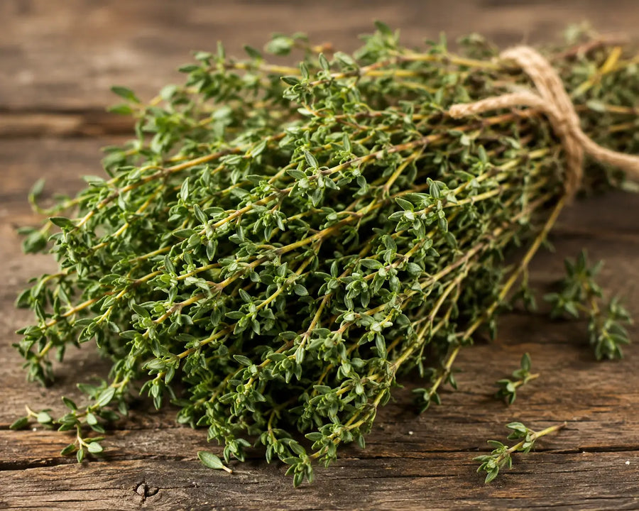 Thyme