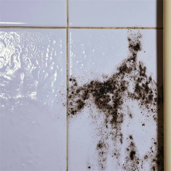 Black mould spreading across bathroom tile